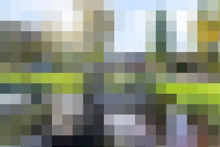 Koningsvarenstraat 23 Wormer thumbnail 49