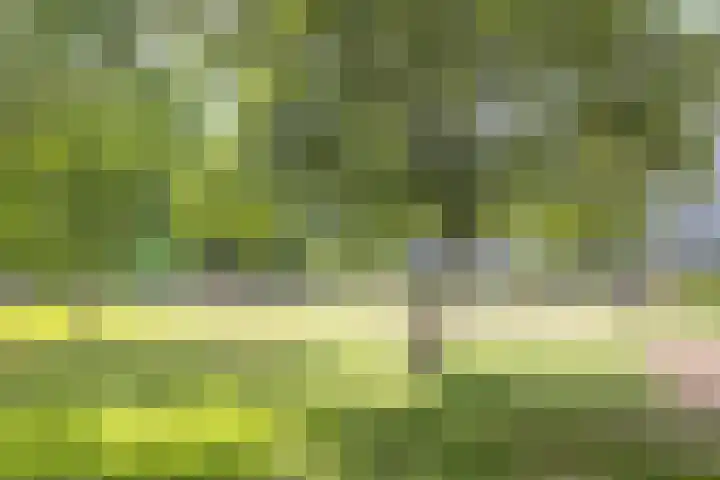 Koningsvarenstraat 49 Wormer thumbnail 30