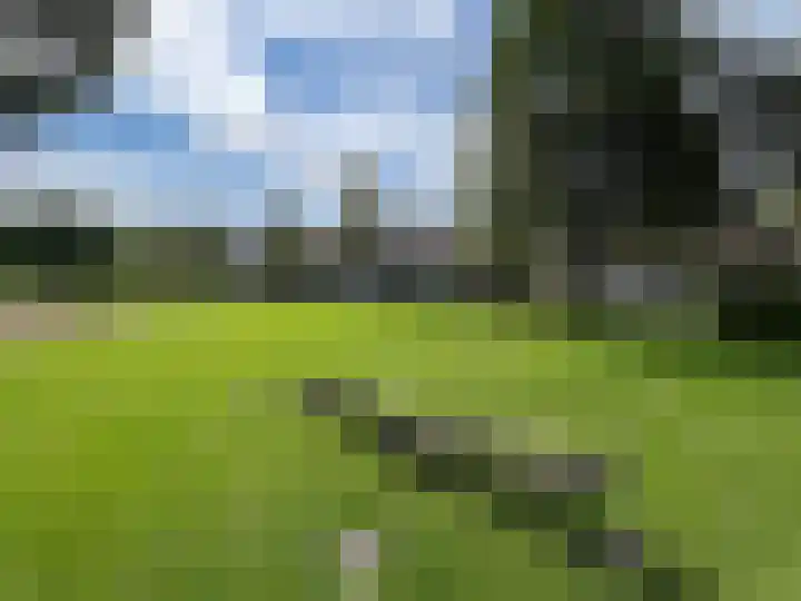 Koningsvarenstraat 49 Wormer thumbnail 32