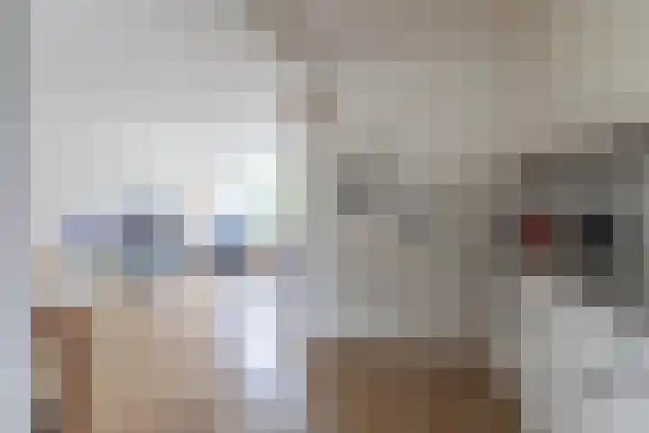 Koningsvarenstraat 49 Wormer thumbnail 8