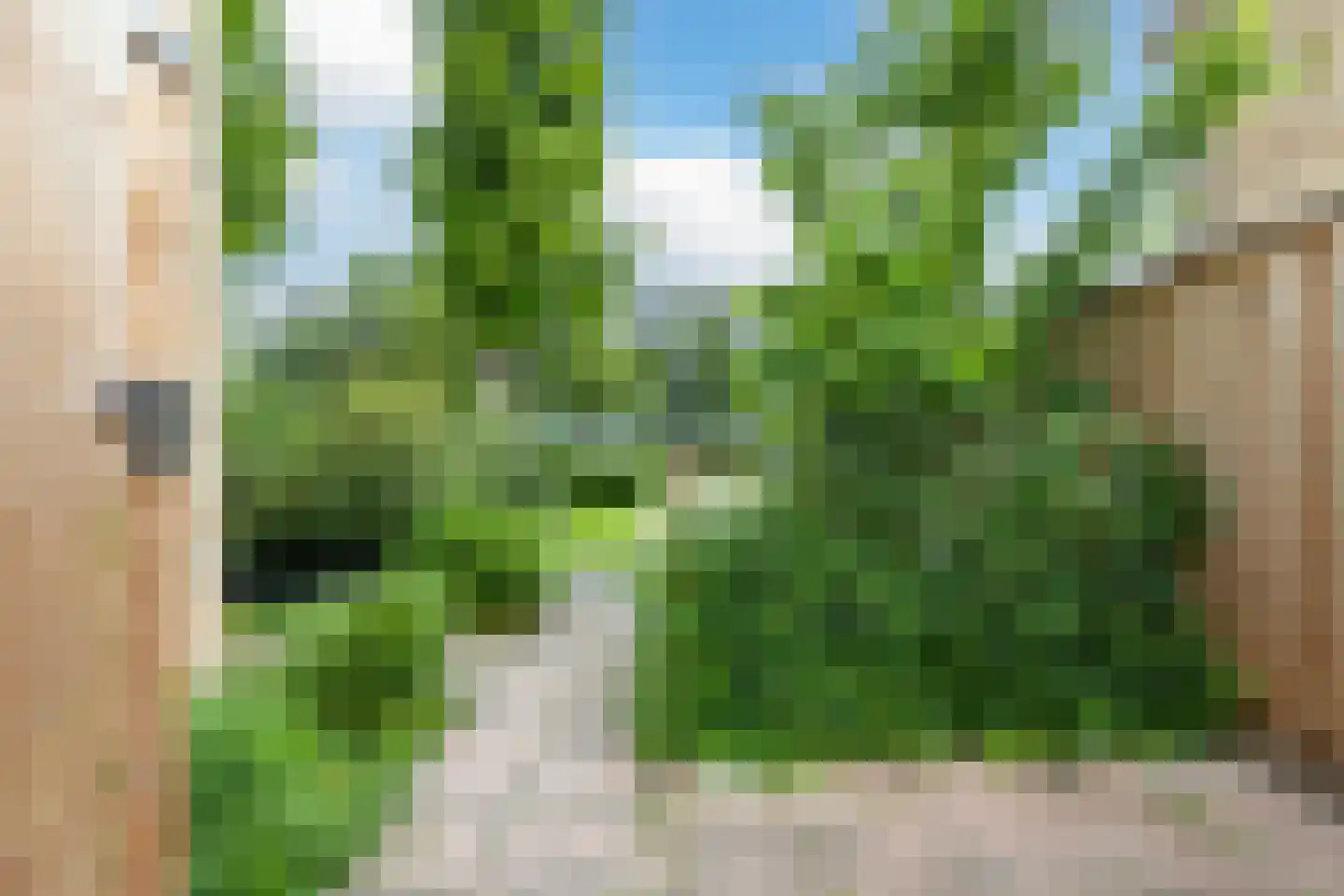 Koningsvarenstraat 53 Wormer thumbnail 30