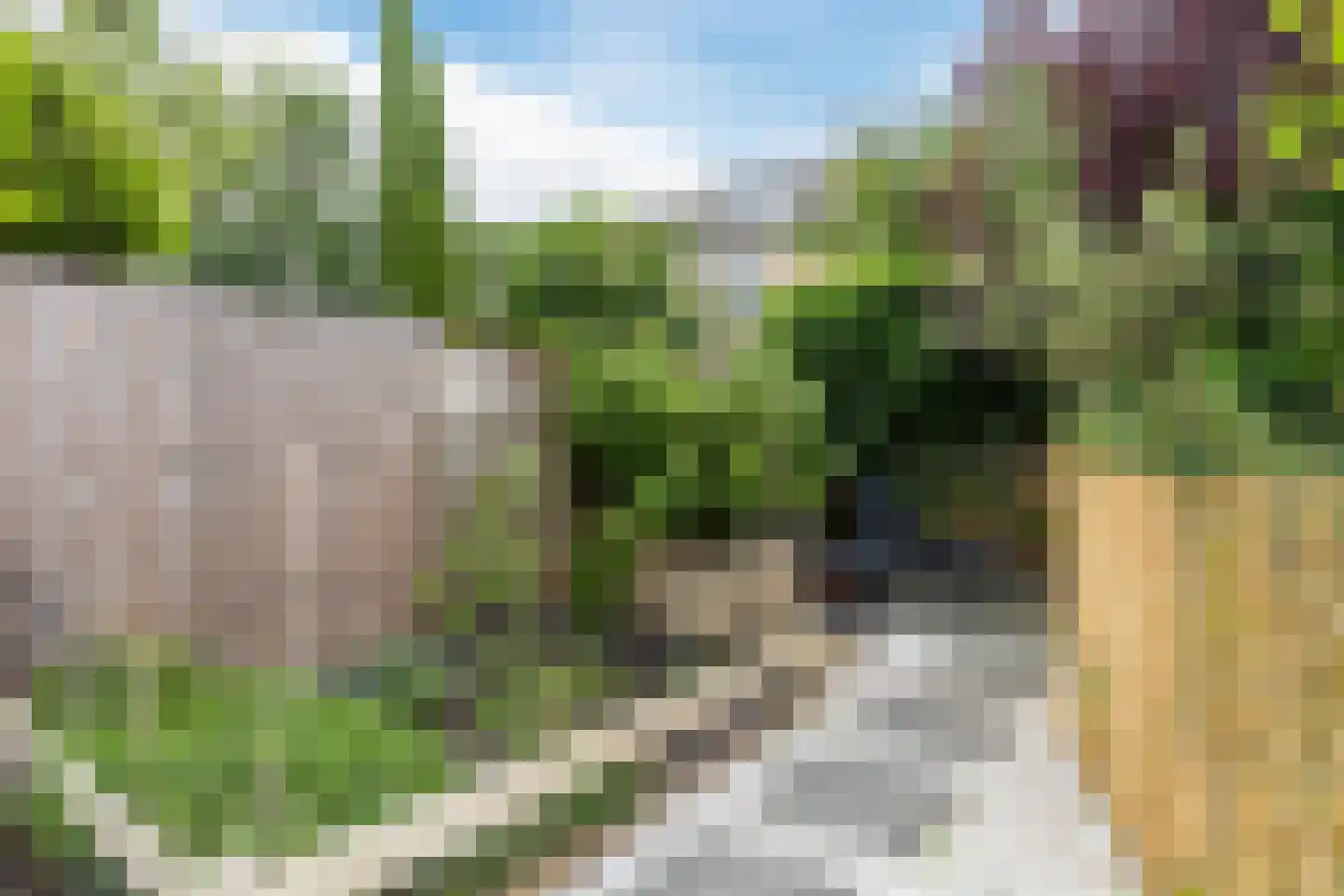 Koningsvarenstraat 53 Wormer thumbnail 32