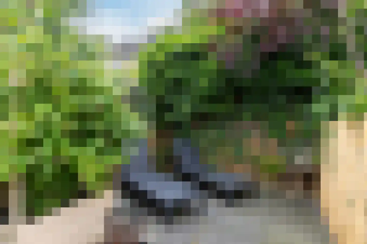Koningsvarenstraat 53 Wormer thumbnail 33