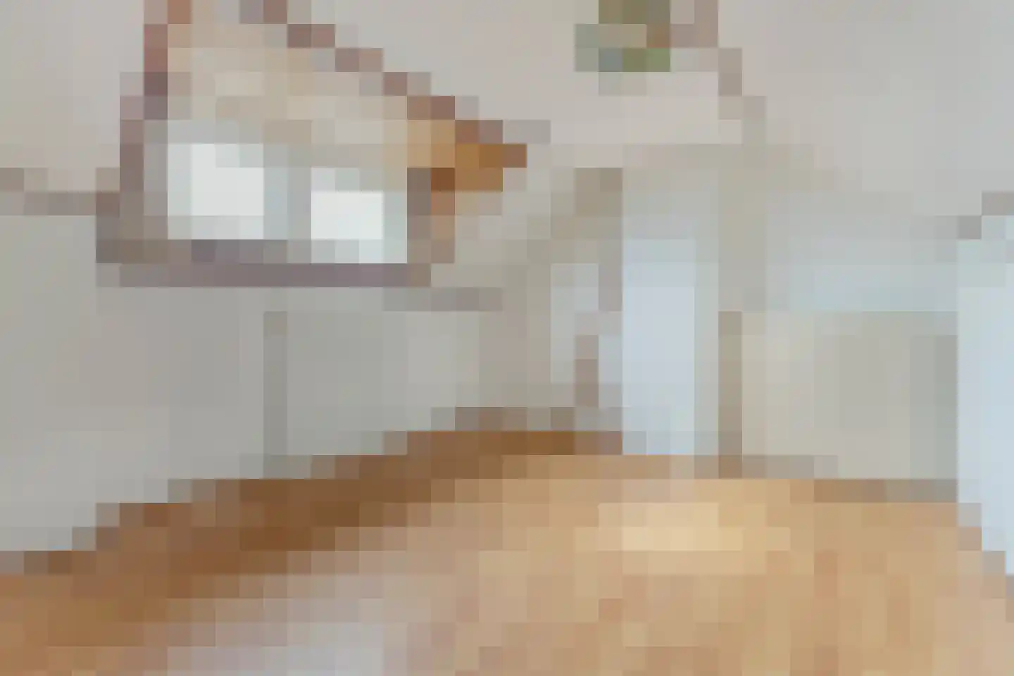 Koningsvarenstraat 65 Wormer thumbnail 19