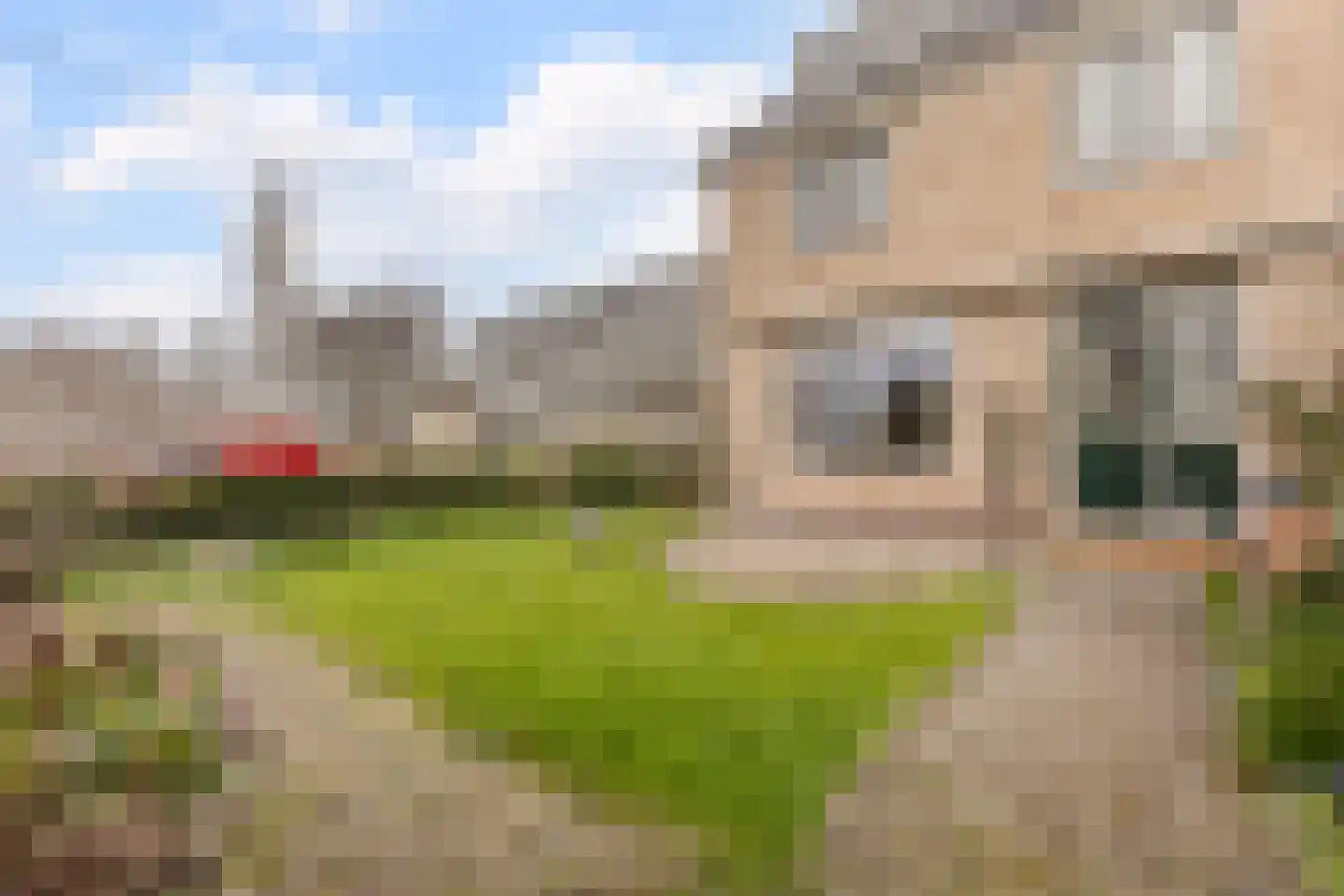 Koningsvarenstraat 65 Wormer thumbnail 21