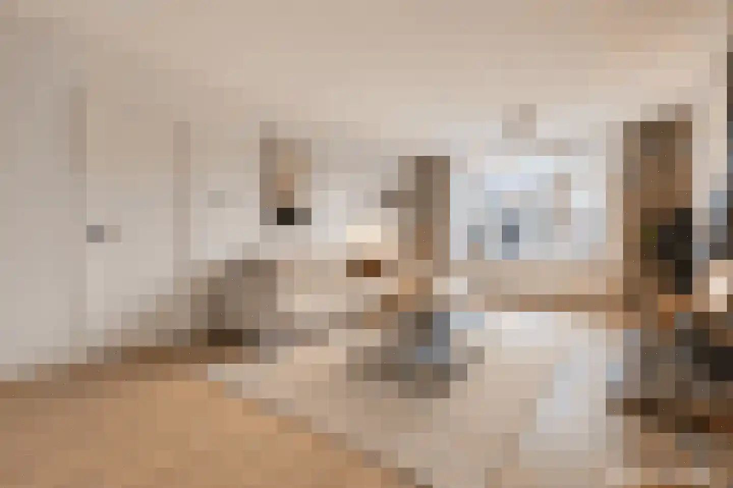 Koningsvarenstraat 65 Wormer thumbnail 4