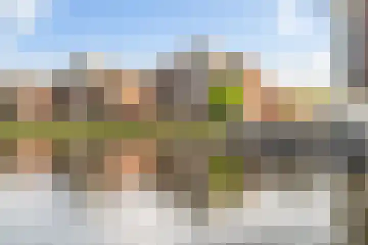 Koningsveld 139 Delft thumbnail 34