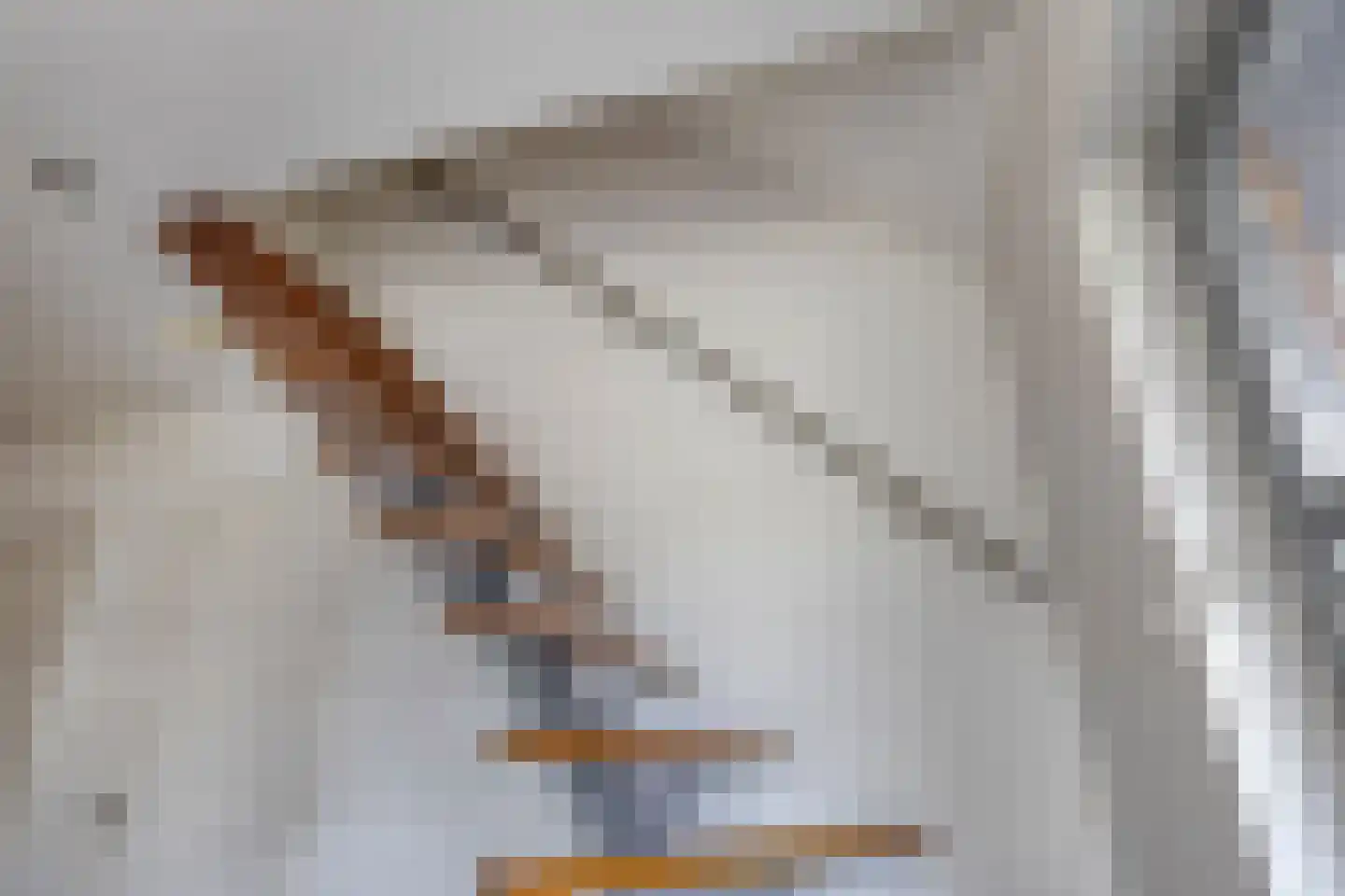Koningsveld 15 Erp thumbnail 36