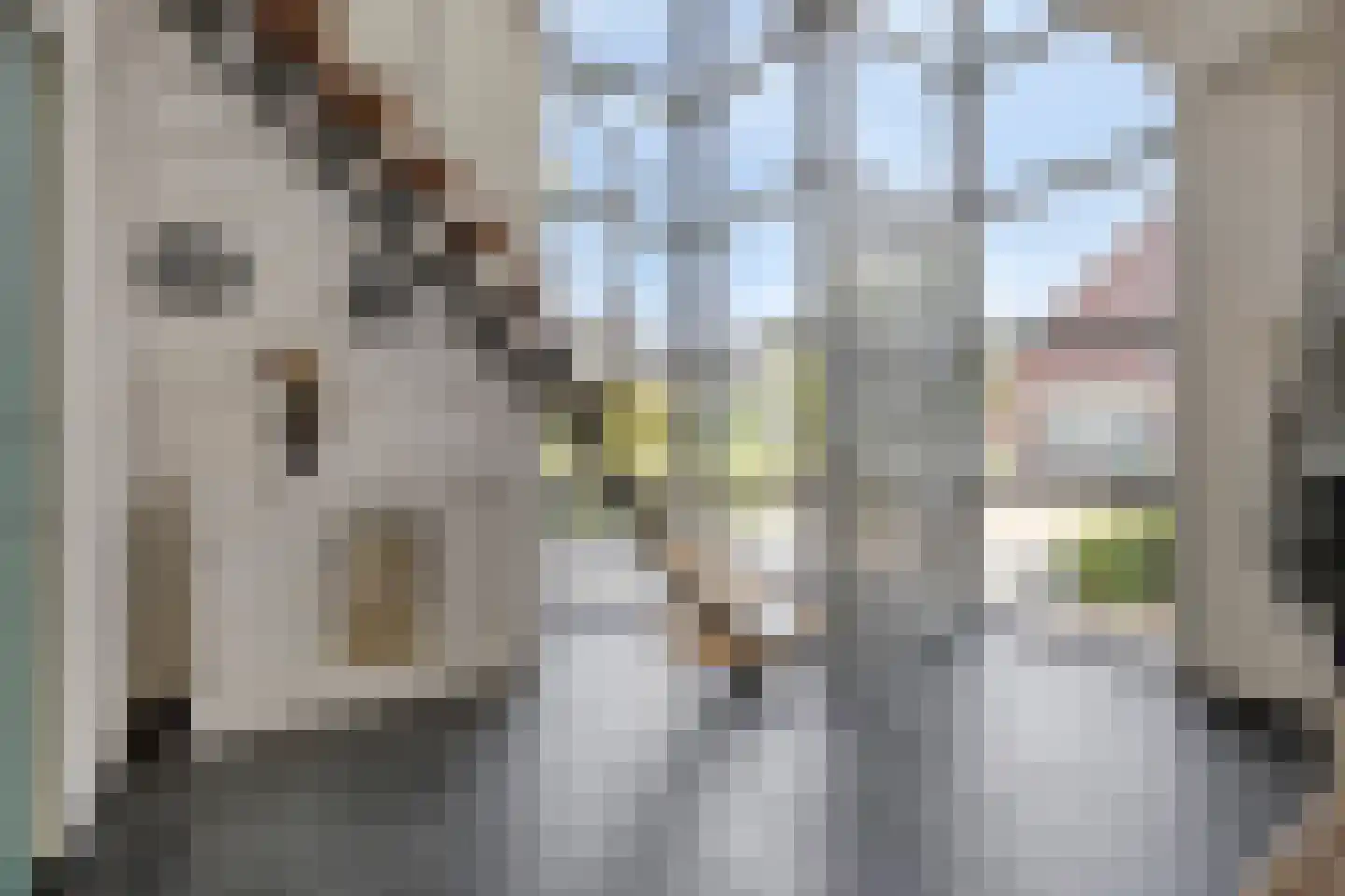 Koningsveld 15 Erp thumbnail 4