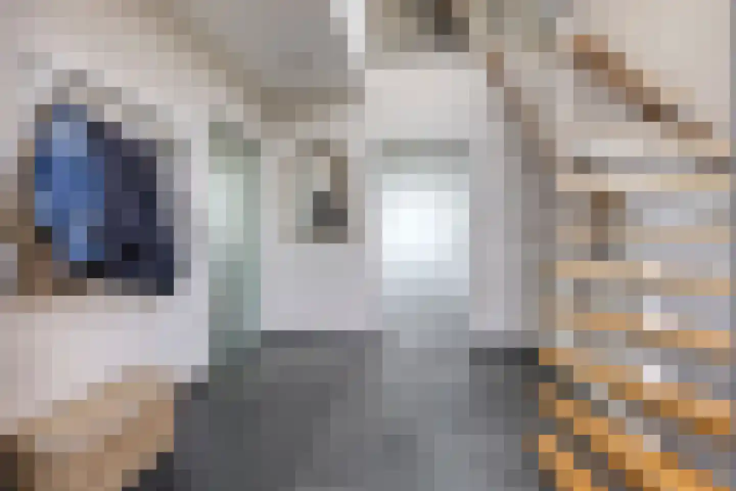 Koningsveld 15 Erp thumbnail 5