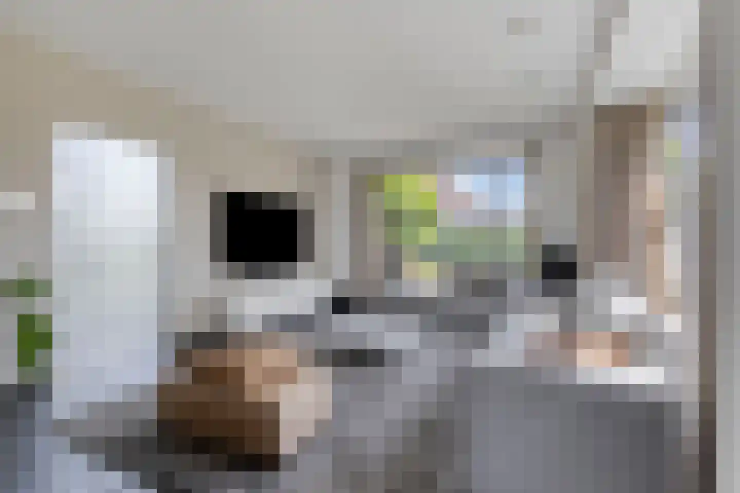 Koningsveld 15 Erp thumbnail 6