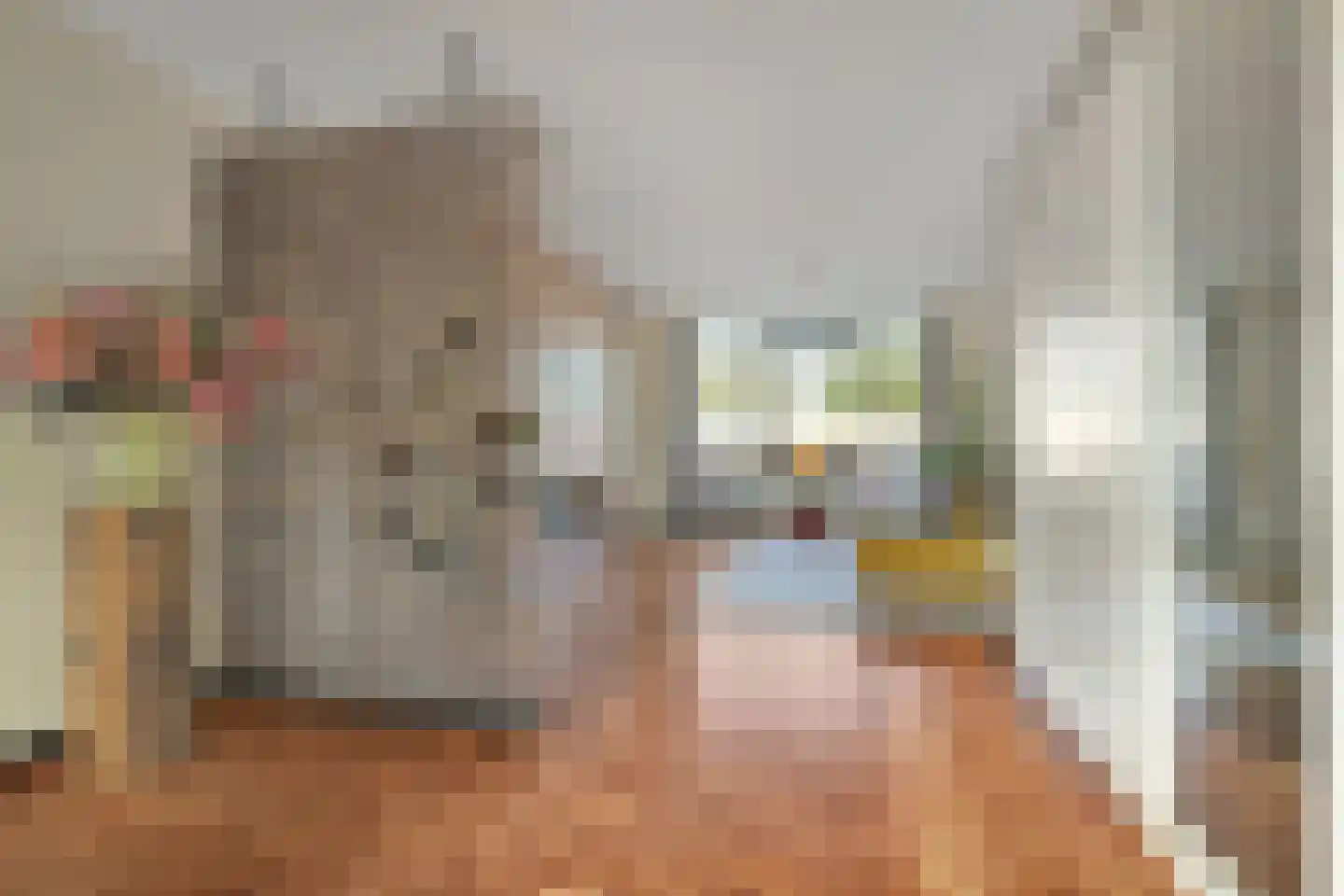 Koningsveld 17 A Terheijden thumbnail 19