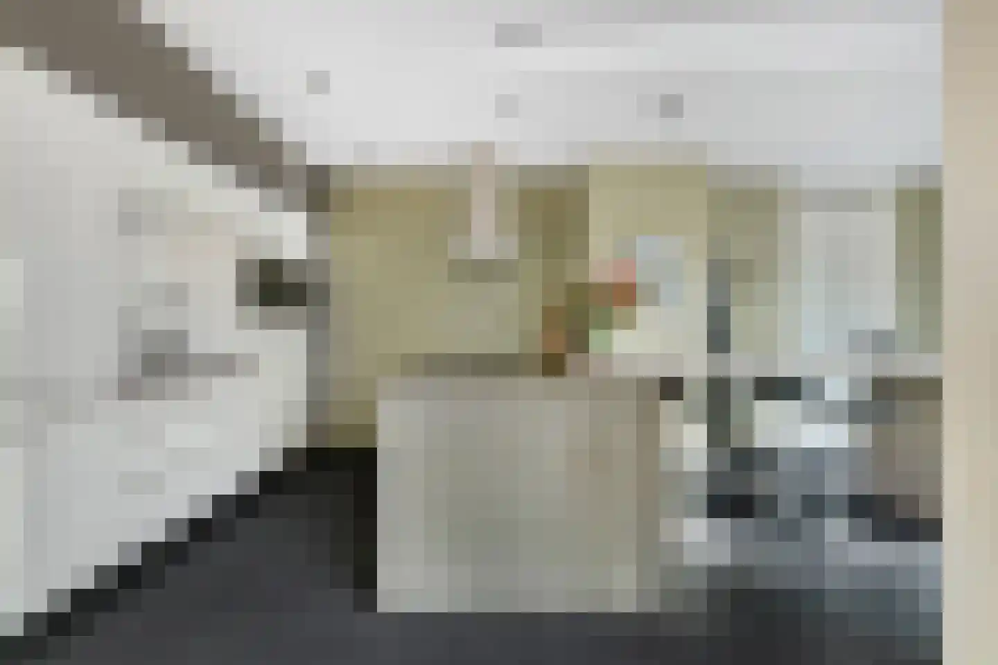 Koningsveld 17 A Terheijden thumbnail 25