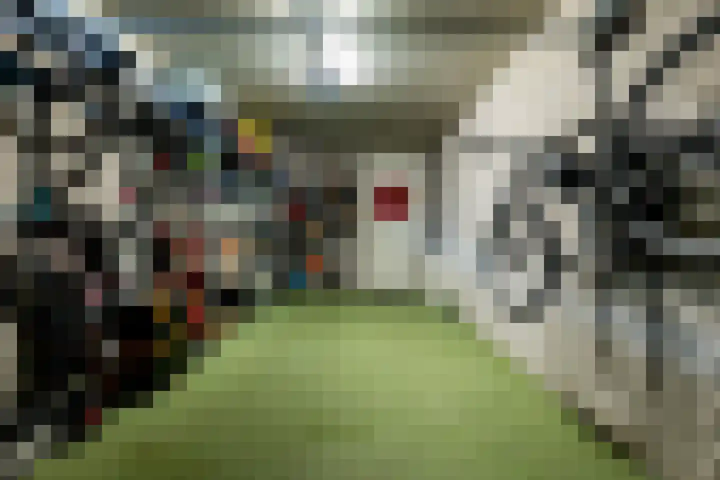 Koningsveld 17 A Terheijden thumbnail 35
