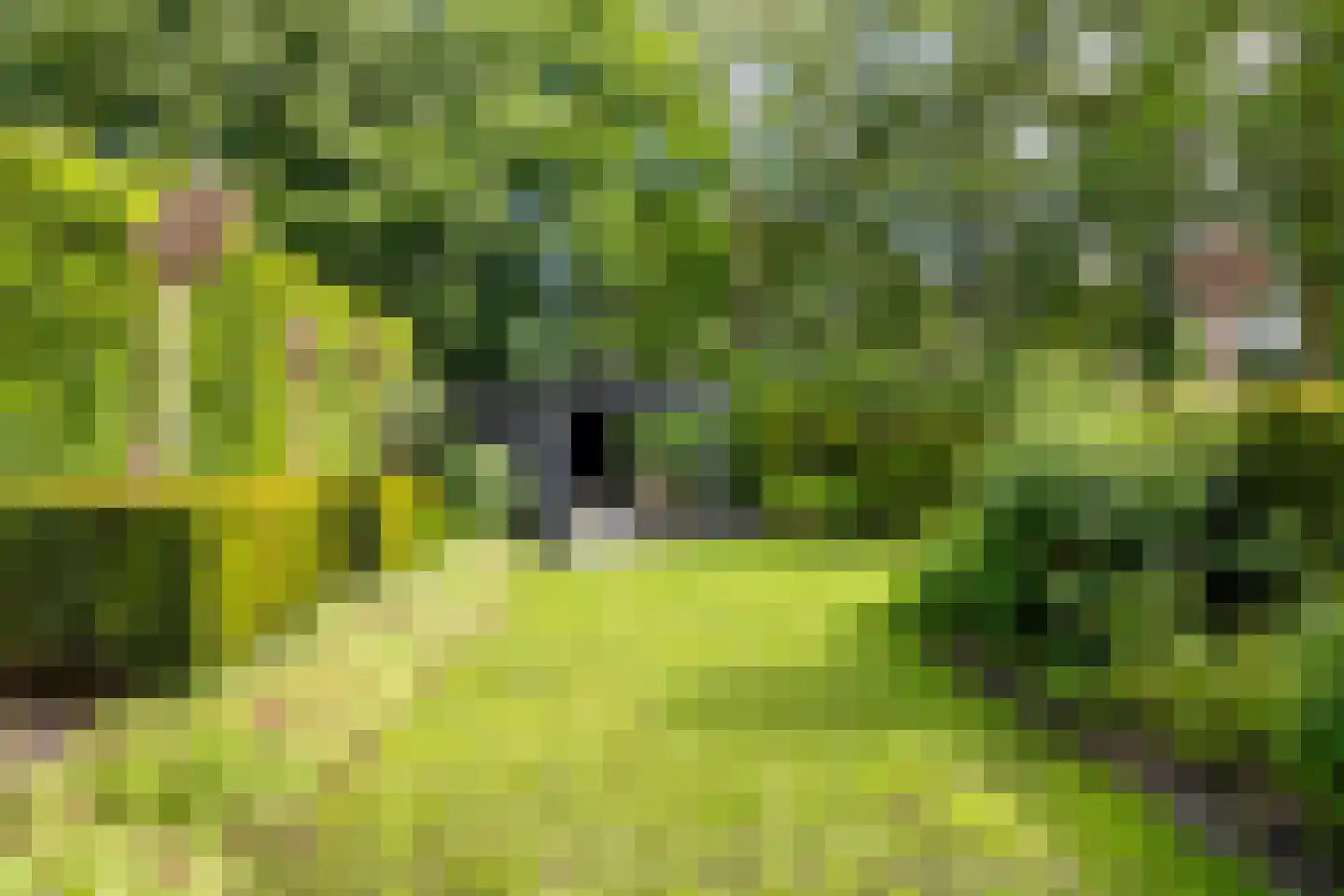 Koningsveld 17 A Terheijden thumbnail 36