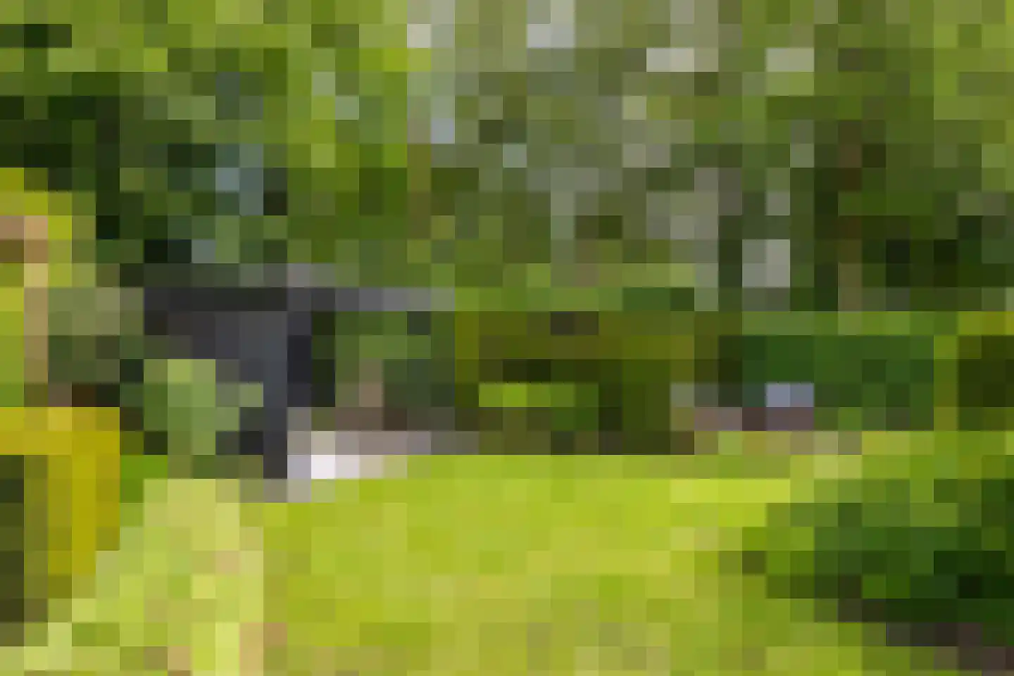 Koningsveld 17 A Terheijden thumbnail 37