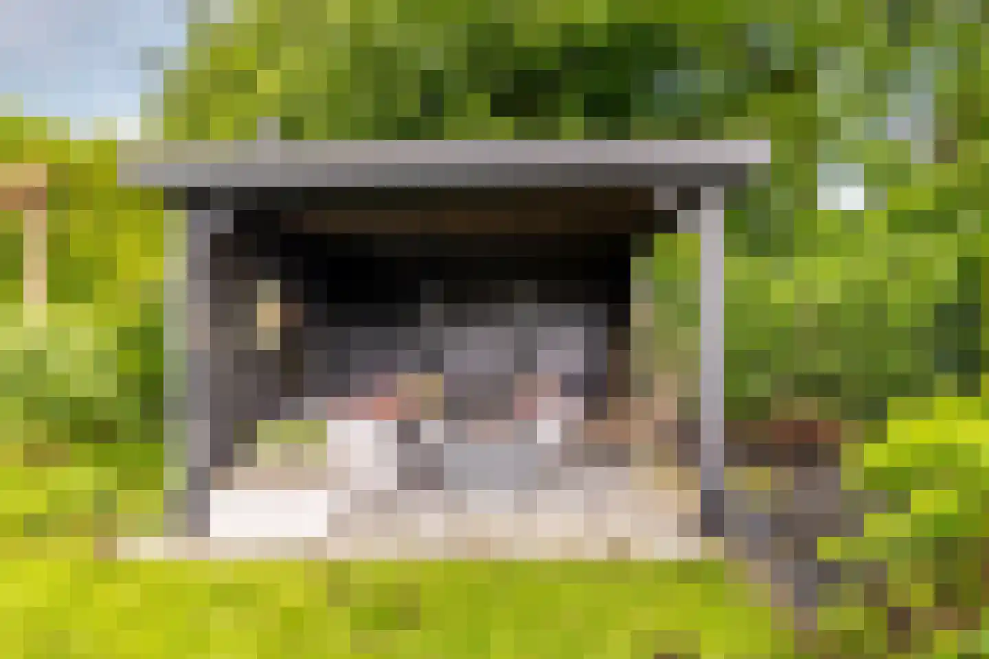 Koningsveld 17 A Terheijden thumbnail 38