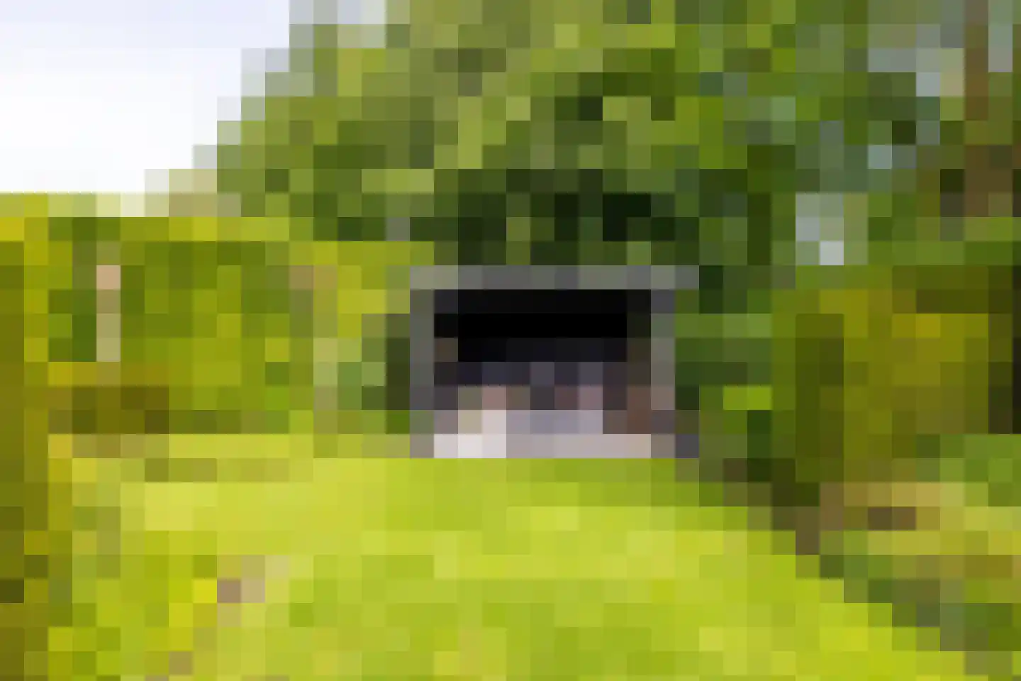 Koningsveld 17 A Terheijden thumbnail 39