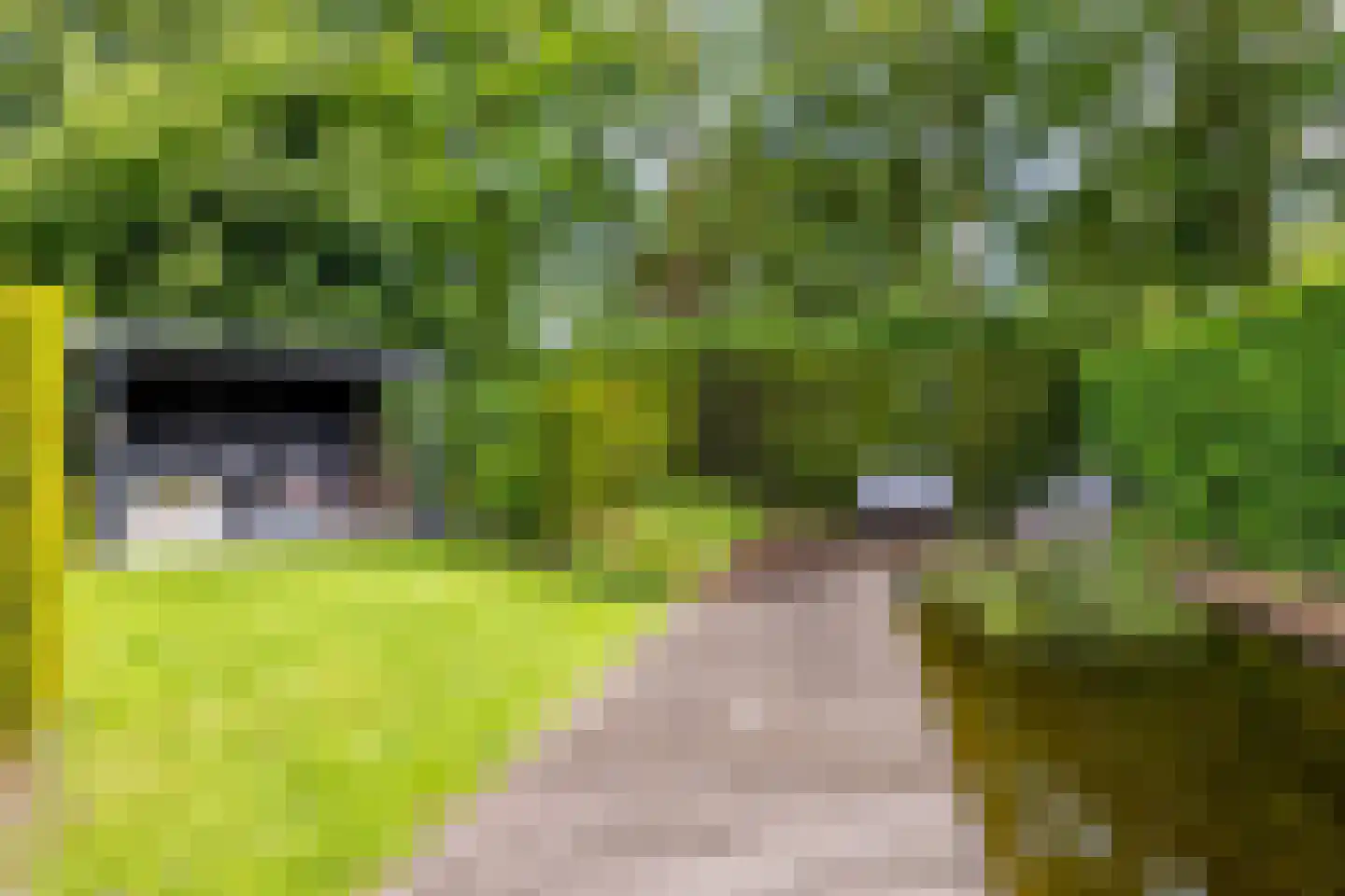 Koningsveld 17 A Terheijden thumbnail 40