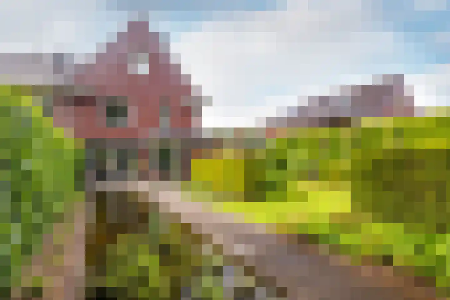 Koningsveld 17 A Terheijden thumbnail 5