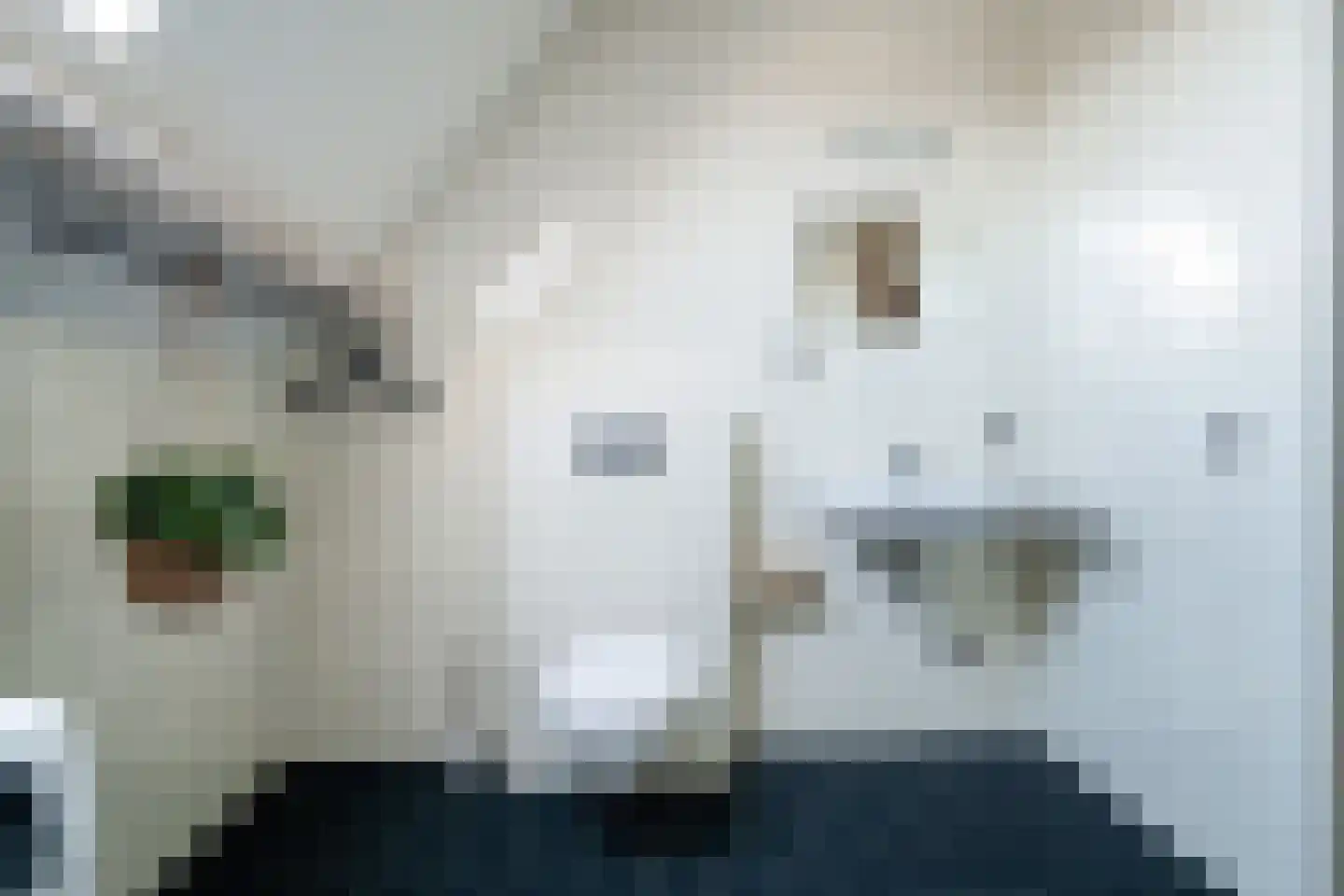 Koningsveld 17 A Terheijden thumbnail 69