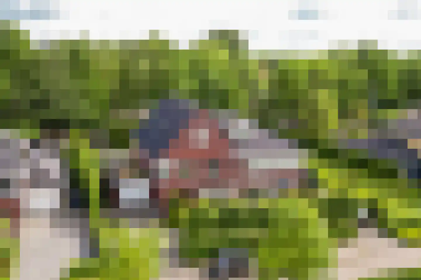 Koningsveld 17 A Terheijden thumbnail 72