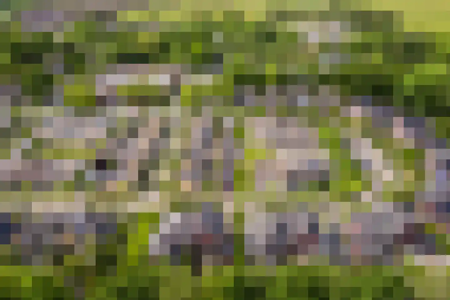Koningsveld 17 A Terheijden thumbnail 76
