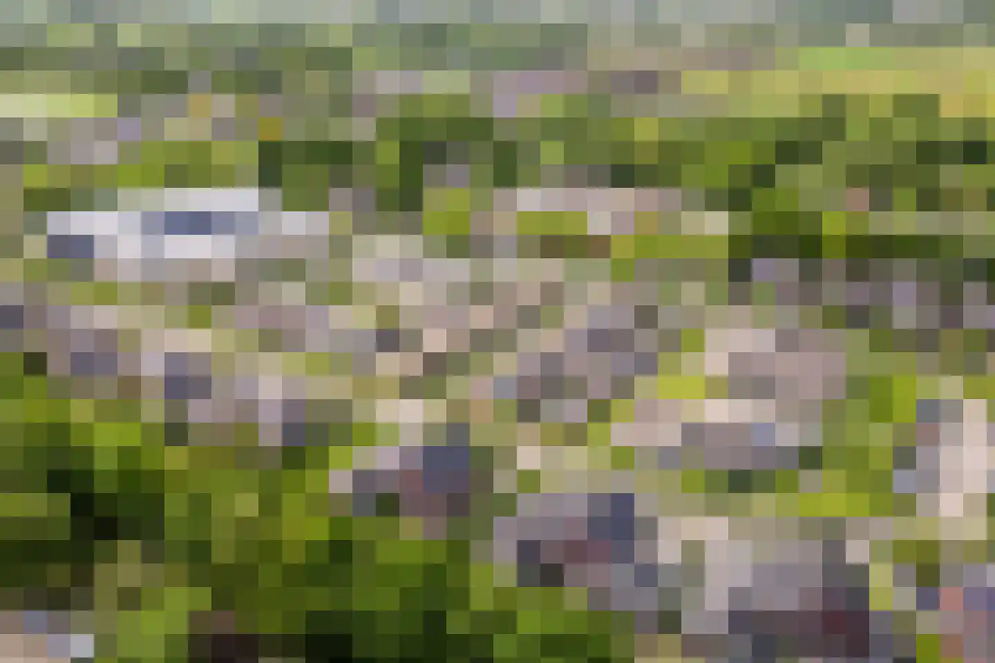 Koningsveld 17 A Terheijden thumbnail 78