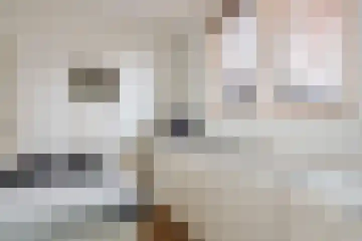 Koningsveld 19 Erp thumbnail 16