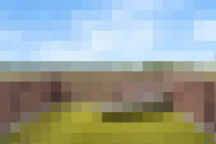Koningsveld 19 Erp thumbnail 30