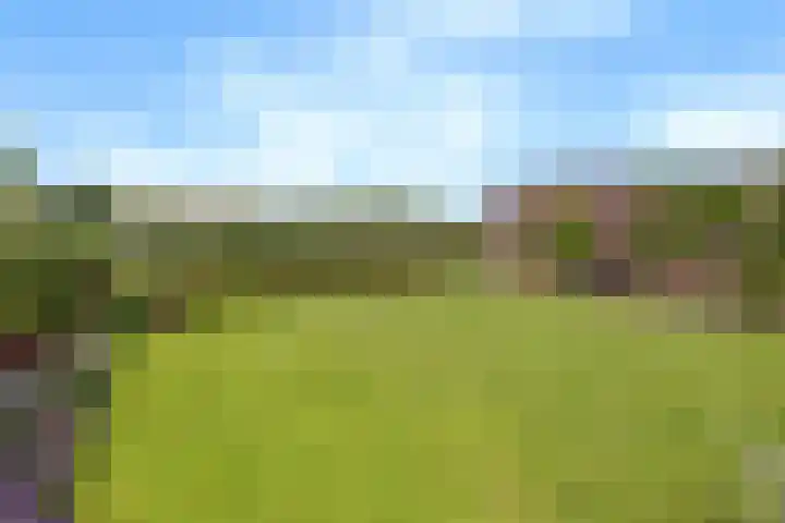 Koningsveld 19 Erp thumbnail 40