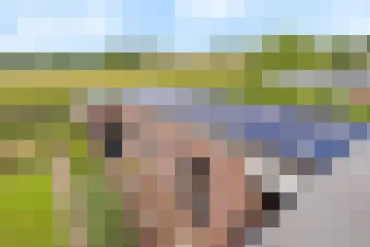 Koningsveld 19 Erp thumbnail 41
