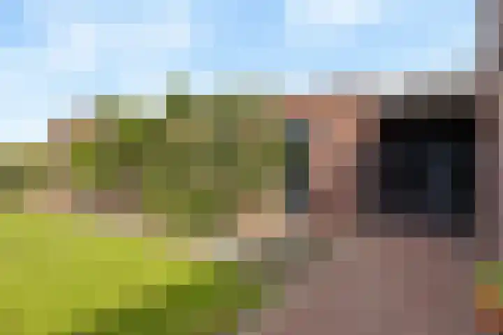 Koningsveld 19 Erp thumbnail 42