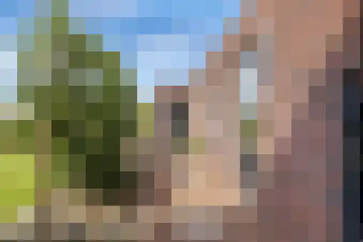 Koningsveld 19 Erp thumbnail 43