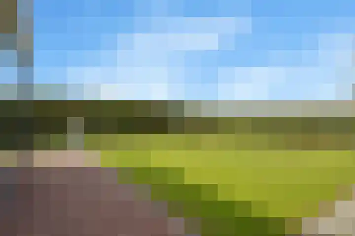 Koningsveld 19 Erp thumbnail 44