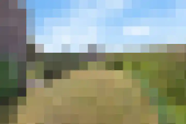 Koningsveld 19 Erp thumbnail 48