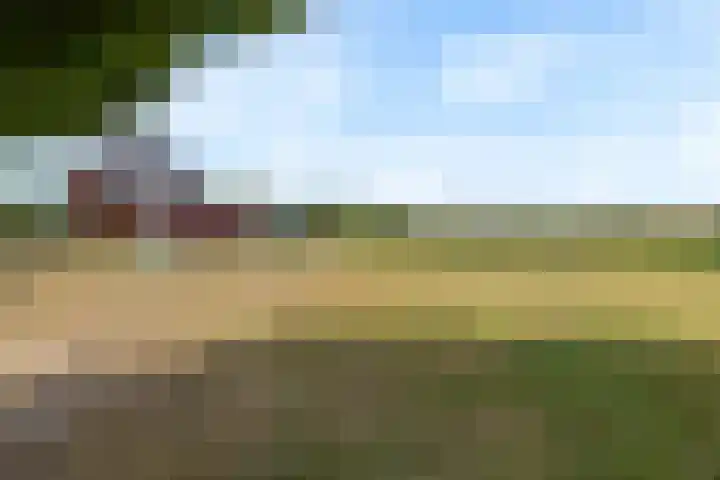 Koningsveld 19 Erp thumbnail 50