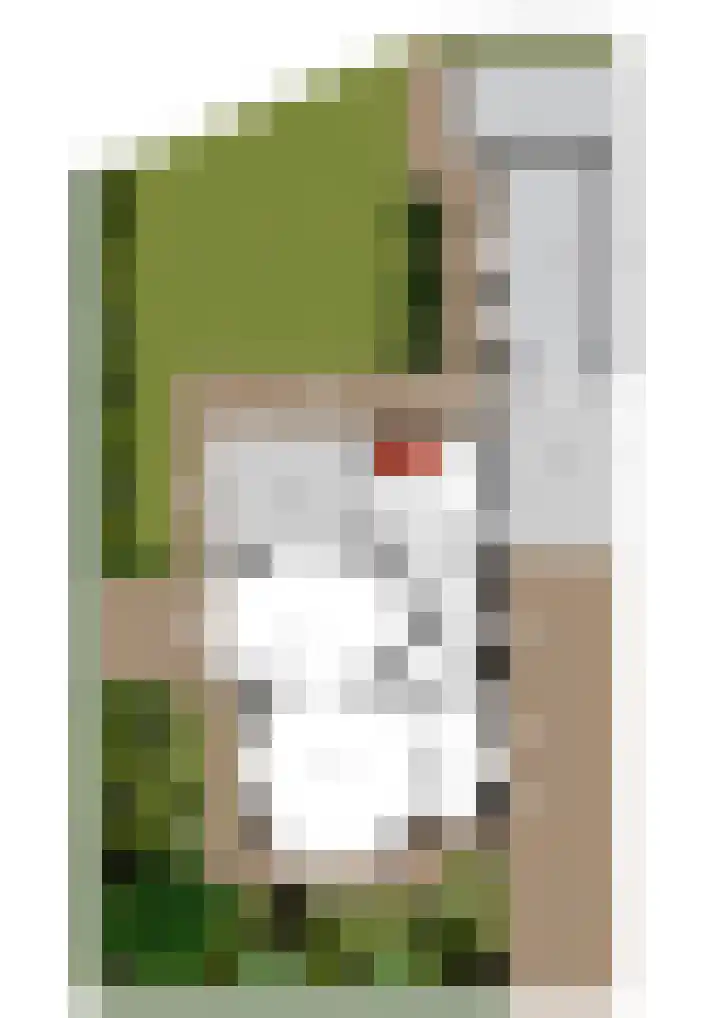 Koningsveld 19 Erp thumbnail 57