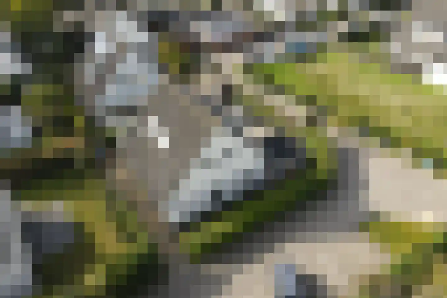 Koningsveld 25 Heiloo thumbnail 47