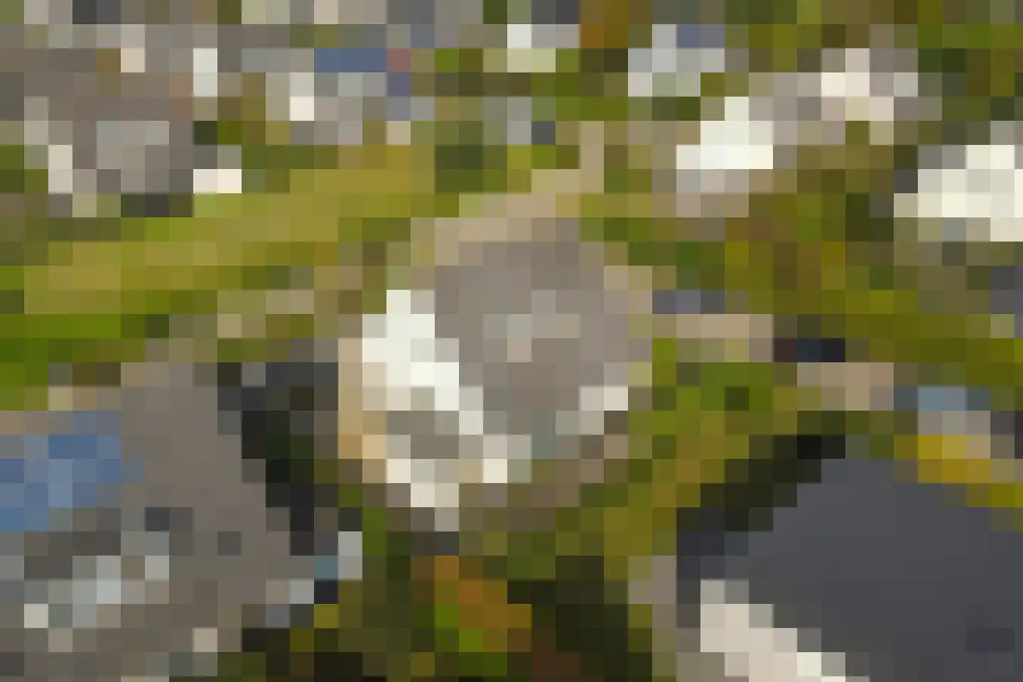 Koningsveld 25 Heiloo thumbnail 48