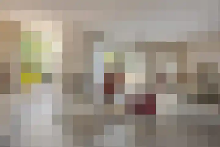 Koningsveld 29 Terheijden thumbnail 15