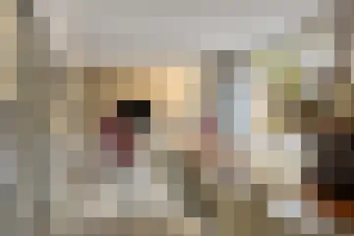 Koningsveld 29 Terheijden thumbnail 19