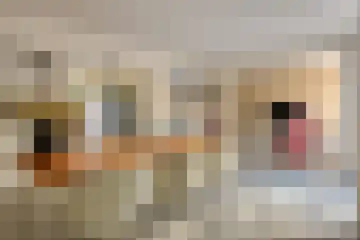 Koningsveld 29 Terheijden thumbnail 20