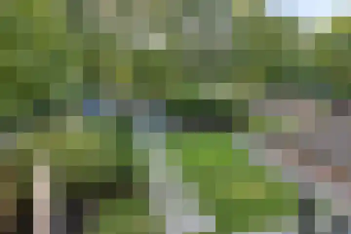 Koningsveld 29 Terheijden thumbnail 30