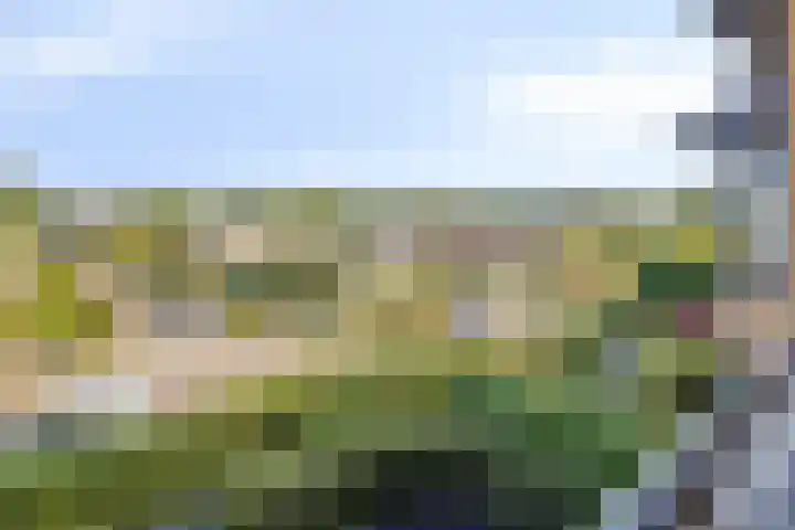 Koningsveld 29 Terheijden thumbnail 39