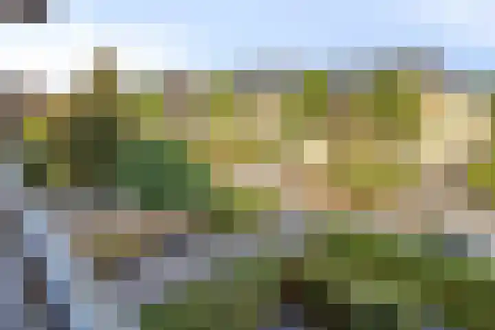 Koningsveld 29 Terheijden thumbnail 40