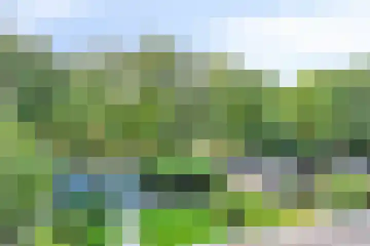 Koningsveld 29 Terheijden thumbnail 41