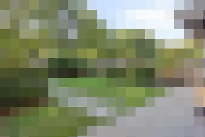 Koningsveld 29 Terheijden thumbnail 43