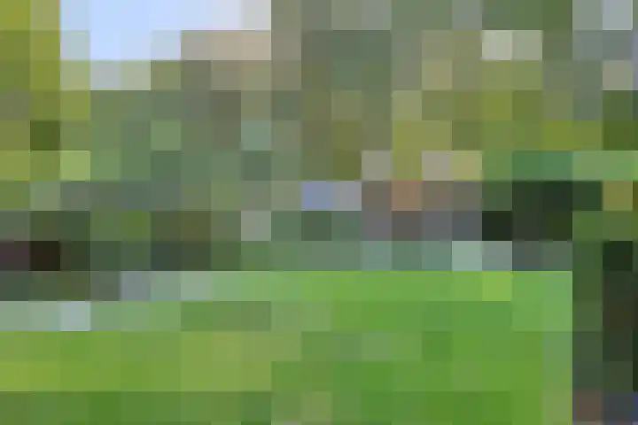 Koningsveld 29 Terheijden thumbnail 44