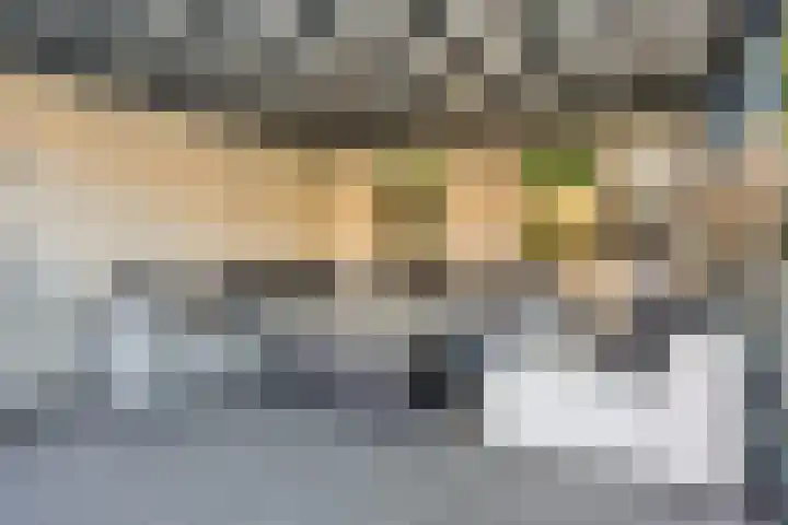 Koningsveld 29 Terheijden thumbnail 47